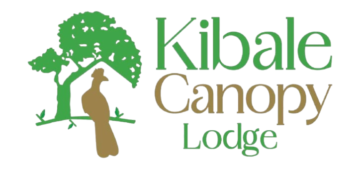 Kibale Canopy Lodge